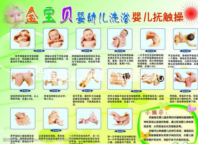 試管嬰兒原理（試管嬰兒原理及生產(chǎn)過程）