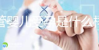 試管嬰兒受孕是什么樣的原理呢？