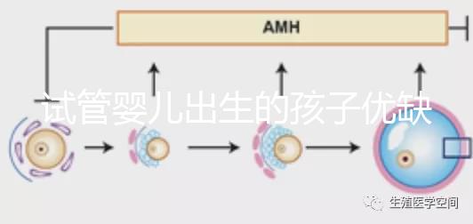 試管嬰兒出生的孩子優(yōu)缺點(diǎn)（試管嬰兒出生的孩子優(yōu)缺點(diǎn)是什么）
