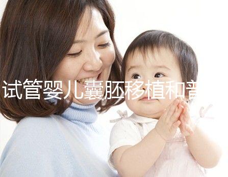 試管嬰兒囊胚移植和普通胚胎的區別