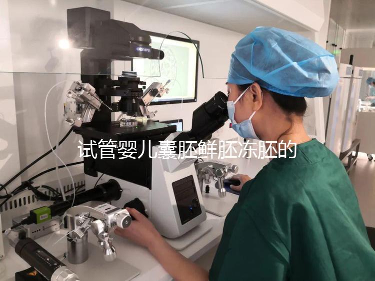 試管嬰兒囊胚鮮胚凍胚的區(qū)別是什么?鮮胚移植VS凍胚移植,哪個成功率高?