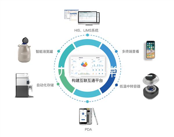 試管嬰兒之——常見(jiàn)的三種胚胎移植方式