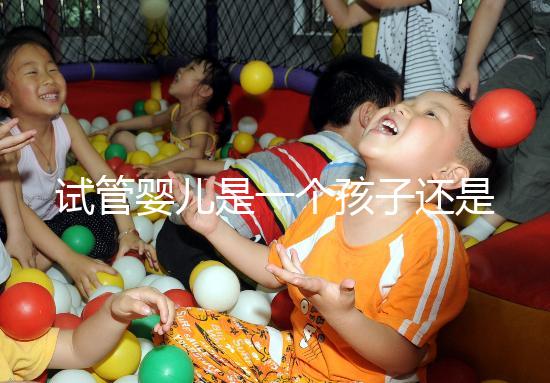 試管嬰兒是一個(gè)孩子還是雙胞胎（試管嬰兒是一個(gè)孩子還是雙胞胎呢）