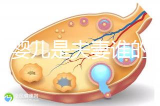 試管嬰兒是夫妻誰的問題（試管嬰兒是夫妻的嗎）