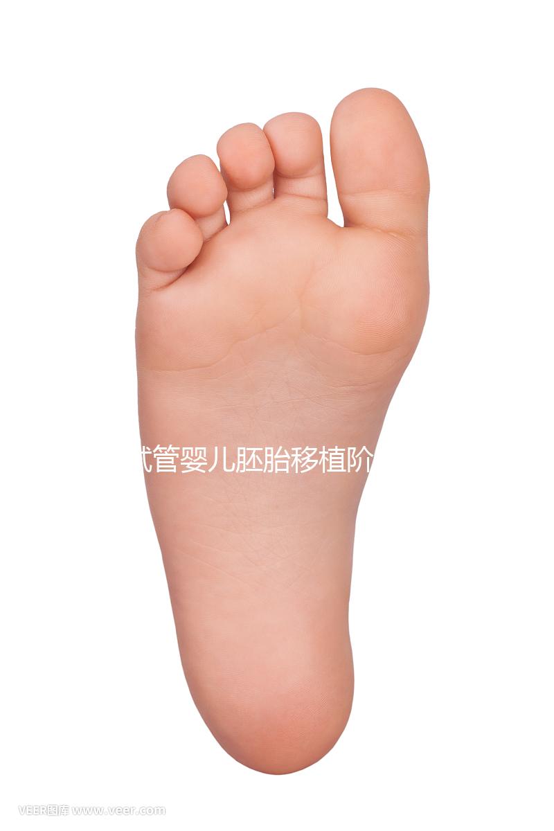 試管嬰兒胚胎移植階段需要具備哪些條件?