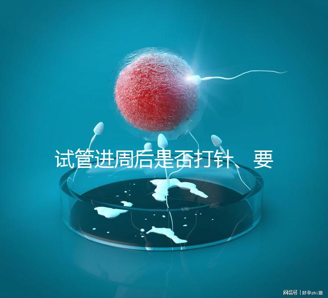 試管進周后是否打針、要不要注射肝素60s說清,備孕的速覽
