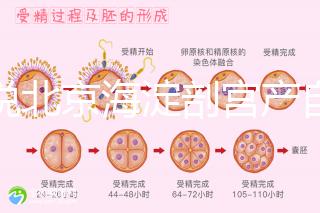誰說北京海淀剖宮產自付費用高，了解2024年生育保險報銷比例？