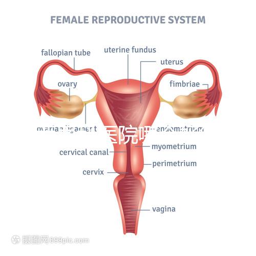 雞西男科醫院哪個好答案在這里？公立和私立各有優勢