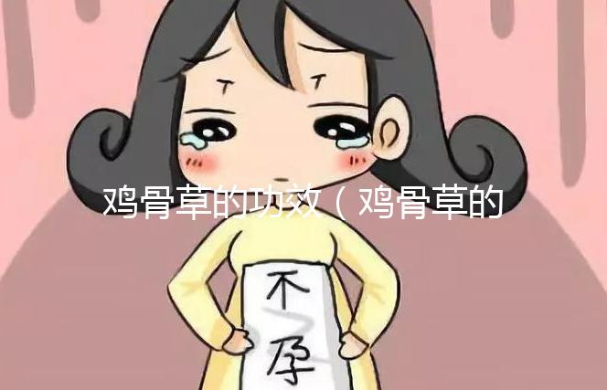 雞骨草的功效(雞骨草的功效與作用主要治什么病)