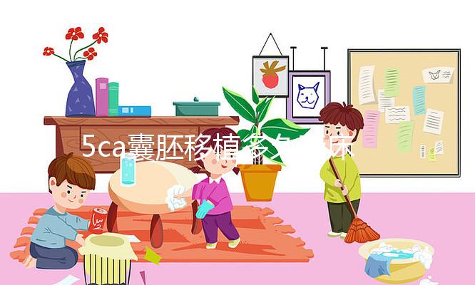 5ca囊胚移植多久著床、有何反應答案來了，第8天白板要警惕