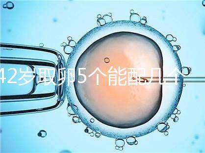 42歲取卵5個能配幾個胚胎難說，只有2個許是技術差導致