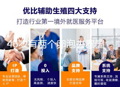 46歲有兩個卵泡去泰國做試管嬰兒成功率高嗎？