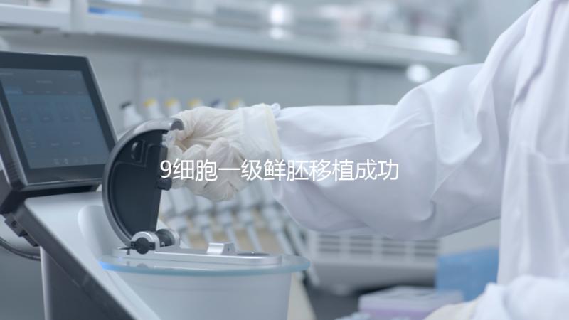 9細胞一級鮮胚移植成功率分析，和8細胞2級相比略遜一籌