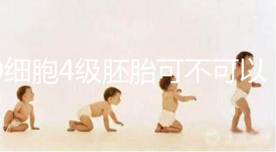 9細胞4級胚胎可不可以移植，看完質量差不差再下定論