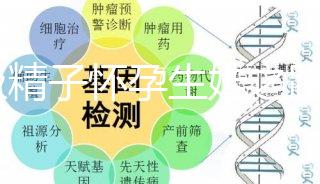 C級精子懷孕生娃之路不好走，試管或是唯一的選擇