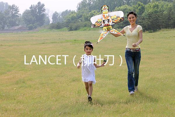 LANCET(柳葉刀)發(fā)表中國(guó)學(xué)者最新研究成果:“第二代試管嬰兒”技術(shù)并不能顯著提高子代活產(chǎn)率醫(yī)藥新聞
