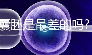 3cc囊胚是最差的嗎?醫生:真有成功案例要有信心