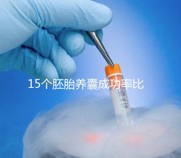 15個胚胎養囊成功率比想象高，只成了1個不正常要警惕