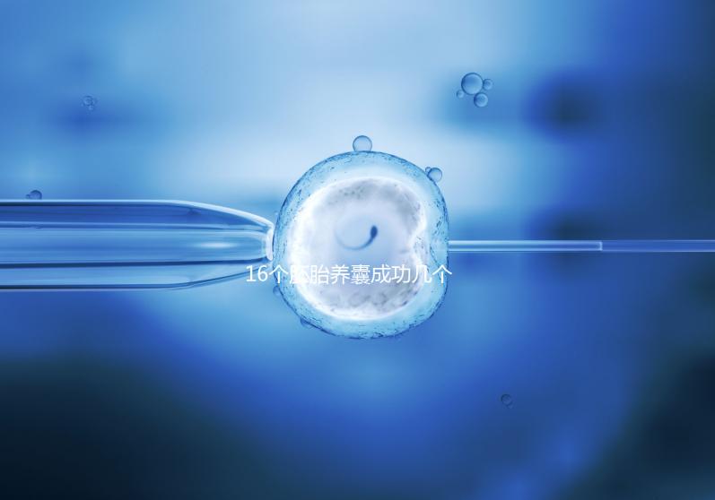 16個(gè)胚胎養(yǎng)囊成功幾個(gè)說不準(zhǔn),11個(gè)概率高不高真不一定