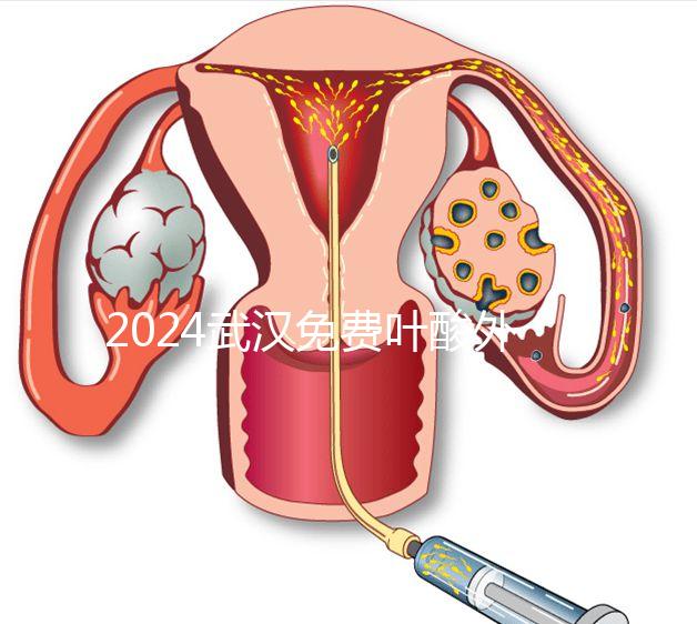 2024武漢免費葉酸外國人可以領取，符合條件就來江漢區