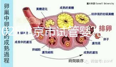 2025北京市試管嬰兒醫(yī)院排名TOP10：推薦5家私立機構+5家公立醫(yī)院
