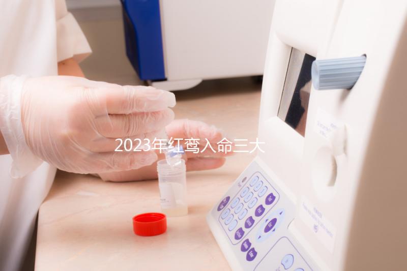 2023年紅鸞入命三大生肖盤點，屬虎男或遇良緣