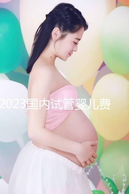 2023國內試管嬰兒費用明細表一覽，4大項目不同花費get