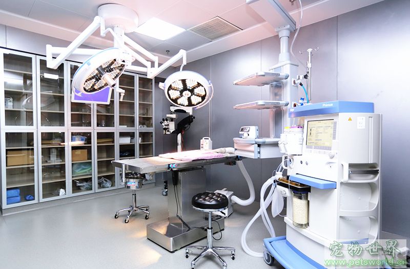 安安寵醫(yī)榮獲首屆“2018美團(tuán)點(diǎn)評年度寵物人氣商戶”稱號